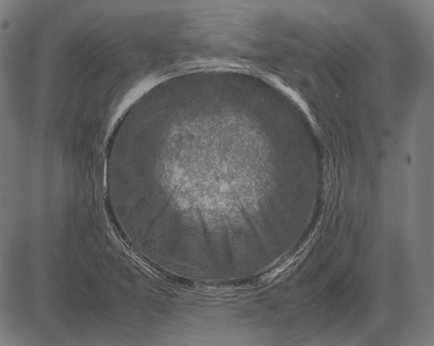 X0000081471365200702021822