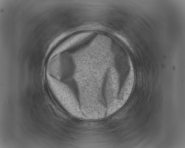 X0000081471366200702021822