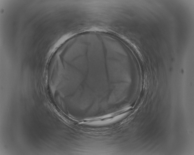 X0000081471367200702021822