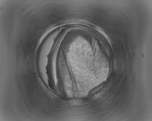 X0000081471368200702021822