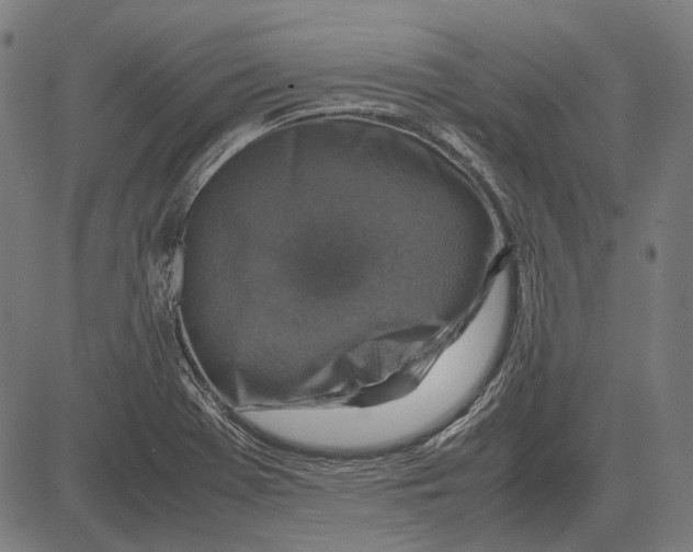 X0000081471369200702021822