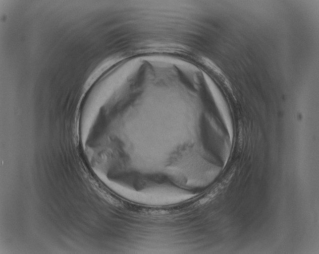 X0000081471370200702021822