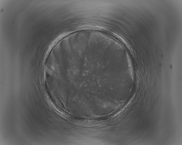 X0000081471371200702021822