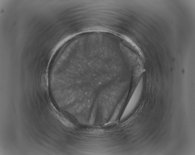 X0000081471372200702021822