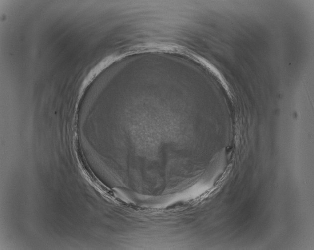 X0000081471373200702021822