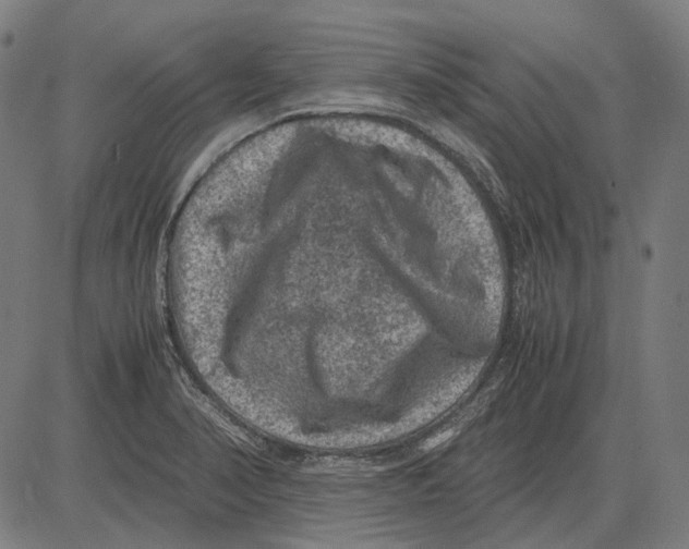 X0000081471374200702021822