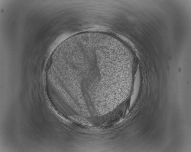 X0000081471375200702021822