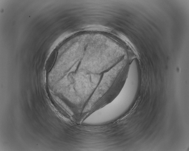 X0000081471376200702021822