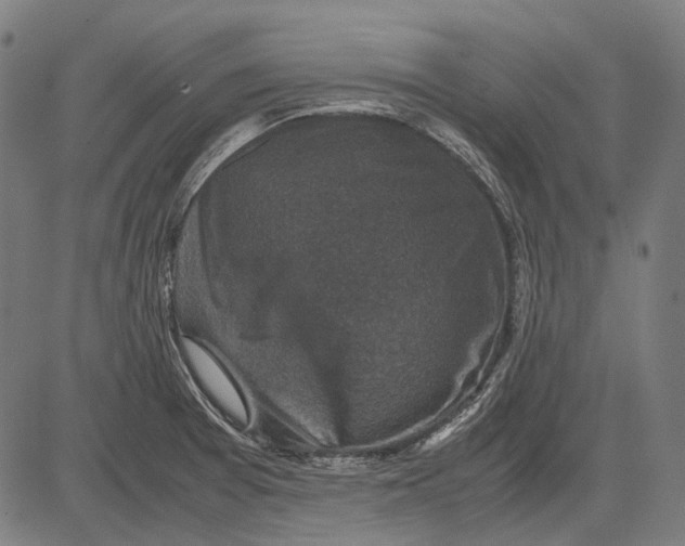 X0000081471377200702021821