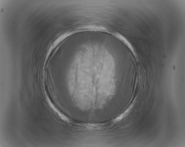 X0000081471381200702021821