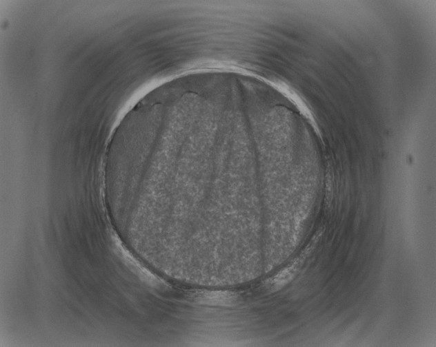 X0000081471382200702021821