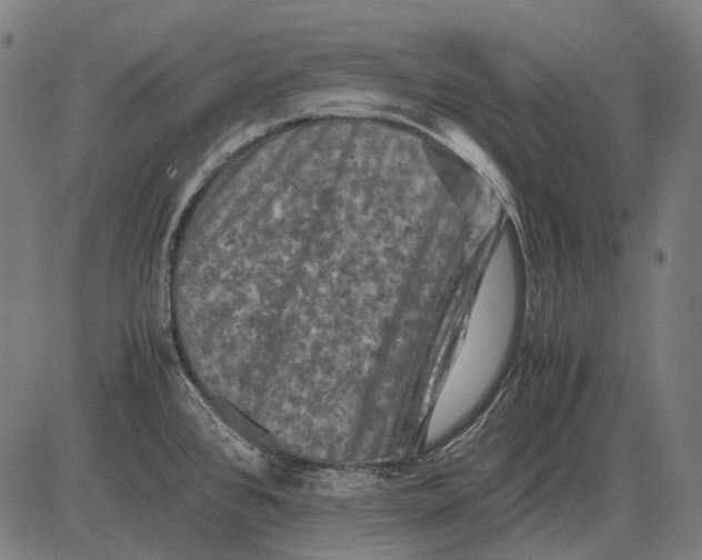 X0000081471384200702021821