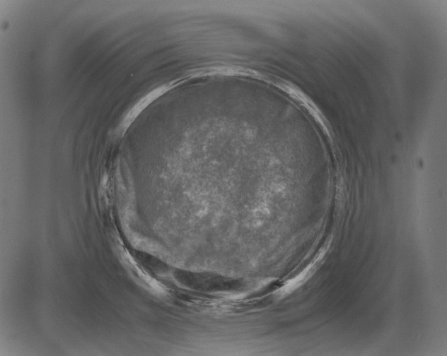 X0000081471385200702021821