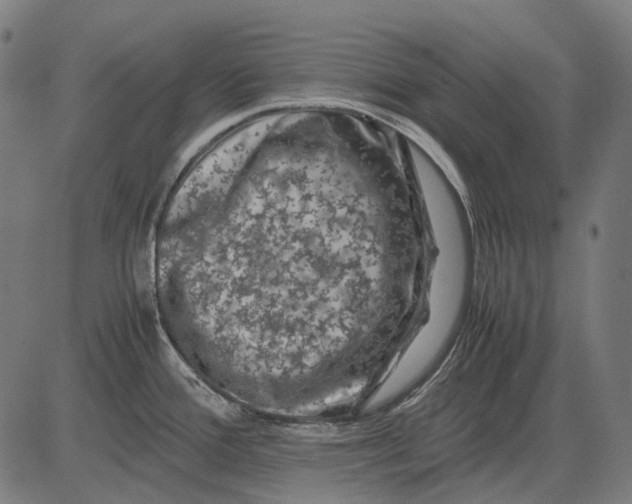 X0000081471388200702021821