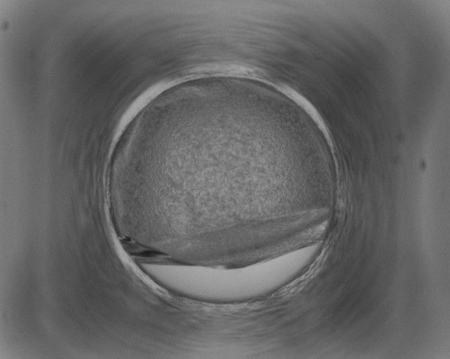 X0000081471389200702021821