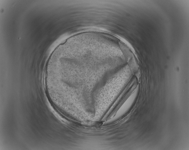 X0000081471391200702021821