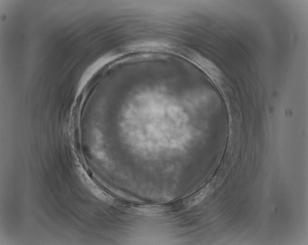 X0000081471392200702021821