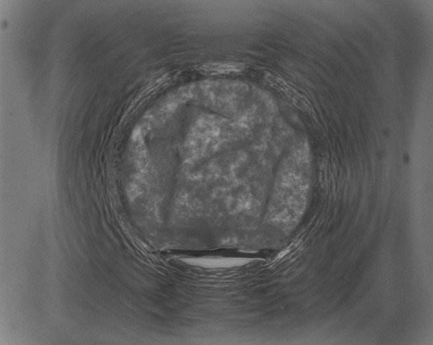 X0000081471393200702021820