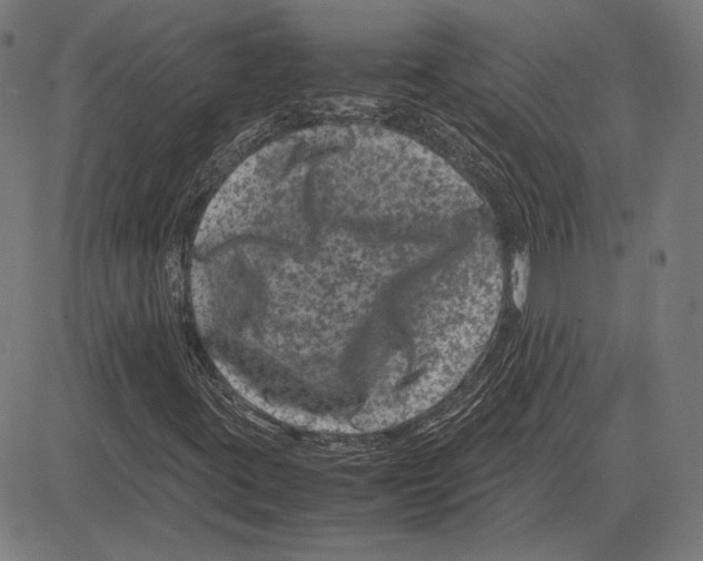 X0000081471395200702021820