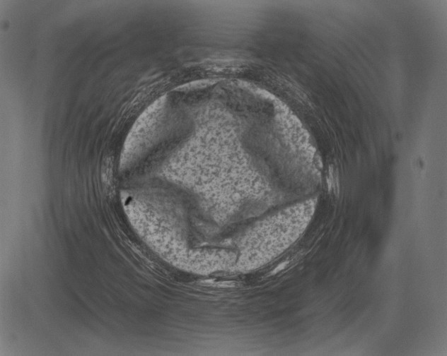 X0000081471396200702021821