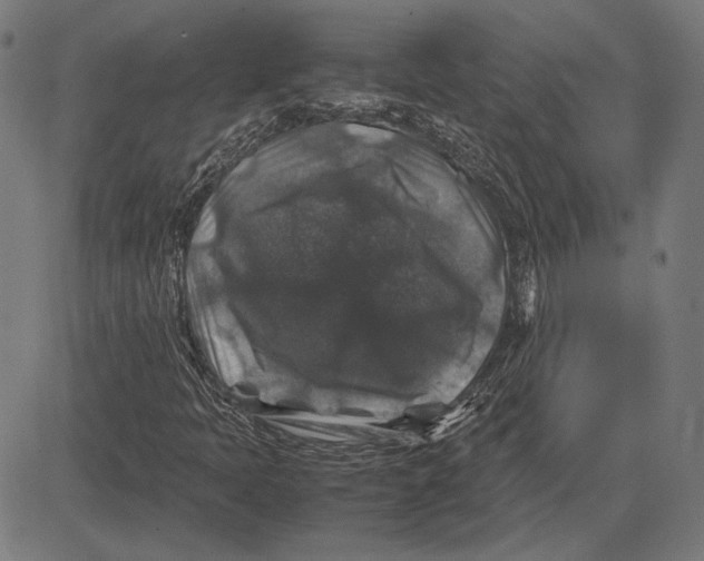 X0000081471397200702021821