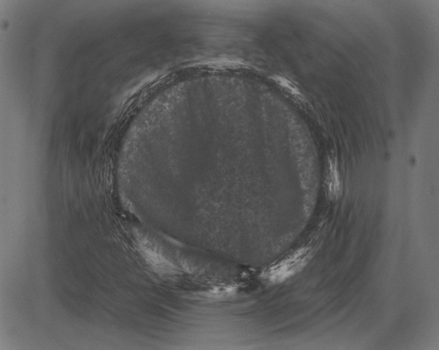 X0000081471398200702021821