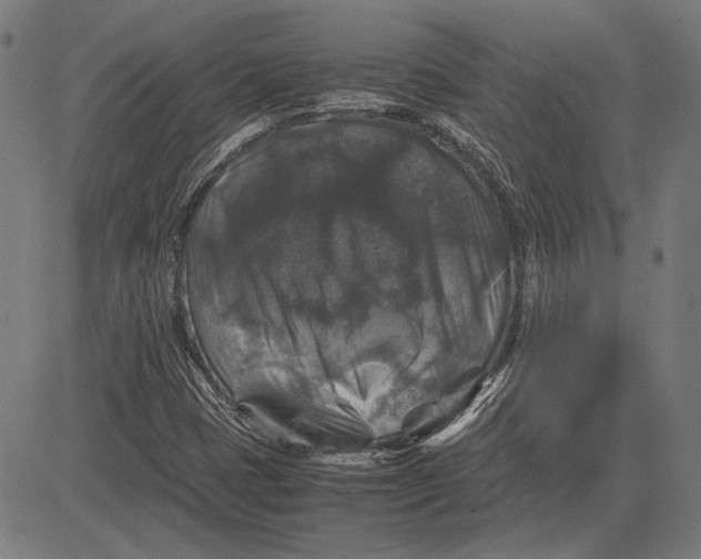 X0000081471401200702021821