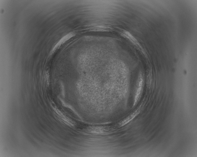 X0000081471402200702021821