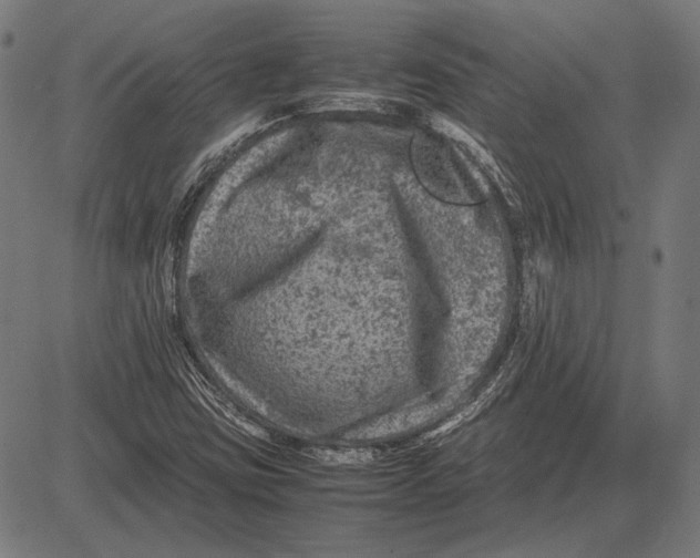 X0000081471403200702021821