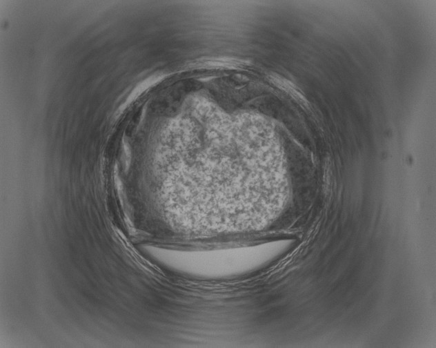 X0000081471404200702021821