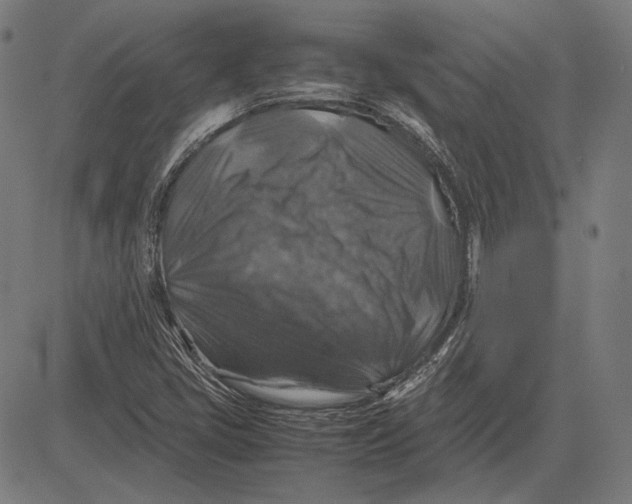 X0000081471405200702021821