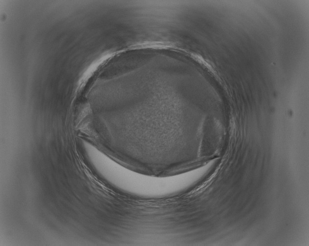 X0000081471406200702021821