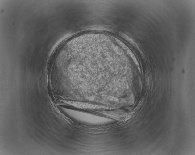 X0000081471408200702021821