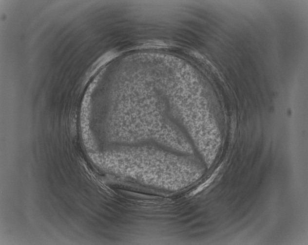 X0000081471409200702021821