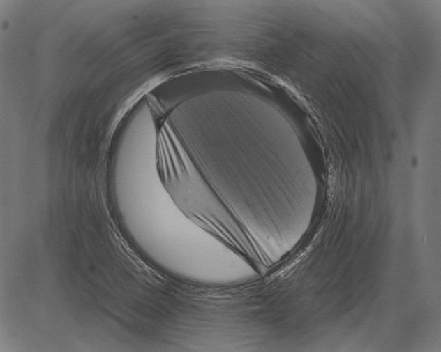 X0000081471410200702021821