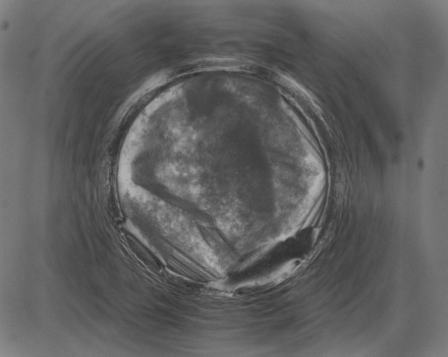 X0000081471411200702021821