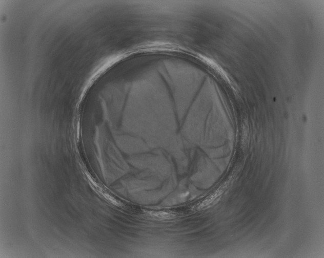 X0000081471413200702021821