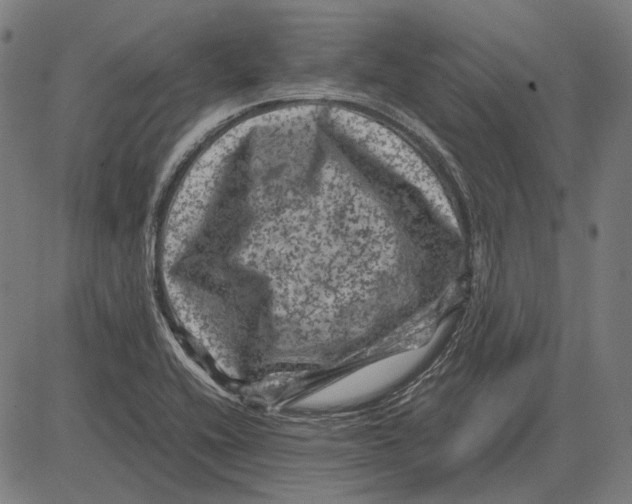 X0000081471416200702021821