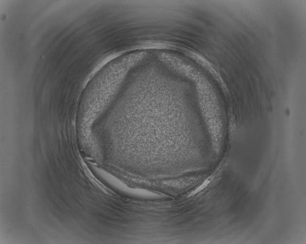 X0000081471417200702021821