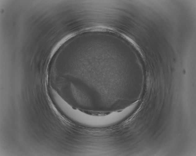 X0000081471418200702021821