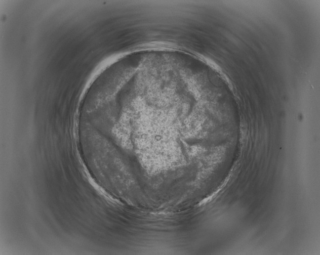 X0000081471421200702021821