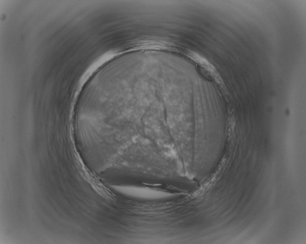 X0000081471427200702021821