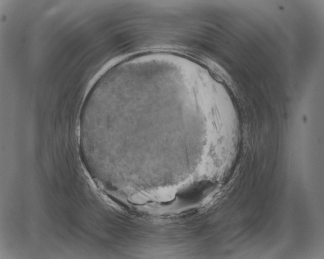 X0000081471428200702021821