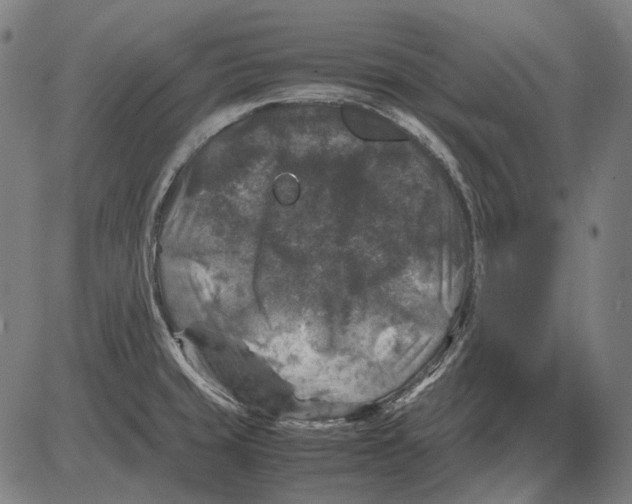 X0000081471429200702021821