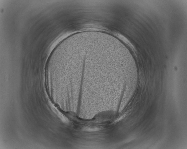 X0000081471431200702021821