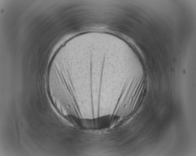 X0000081471432200702021821