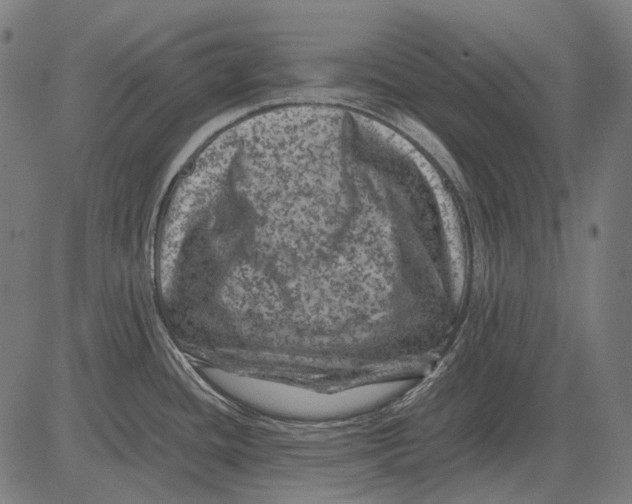 X0000081471436200702021821