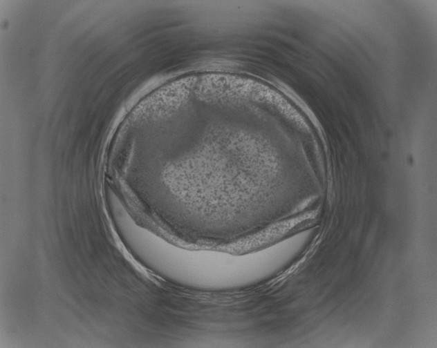 X0000081471437200702021821