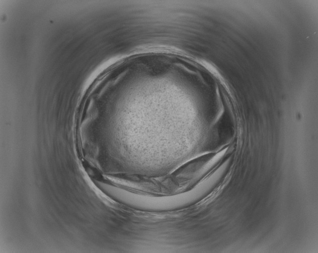 X0000081471438200702021821