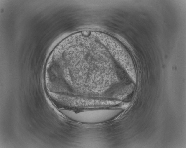 X0000081471440200702021821